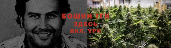 гашиш Богородск