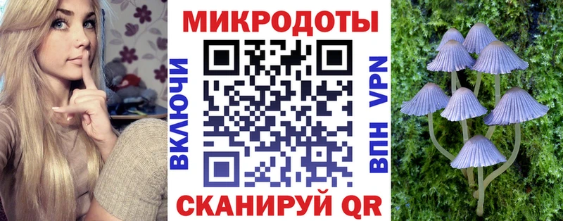 Псилоцибиновые грибы мицелий  Абакан 